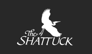 company image